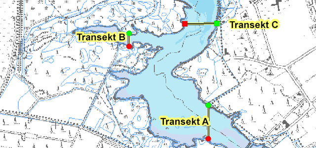Lage der Transekte A - C